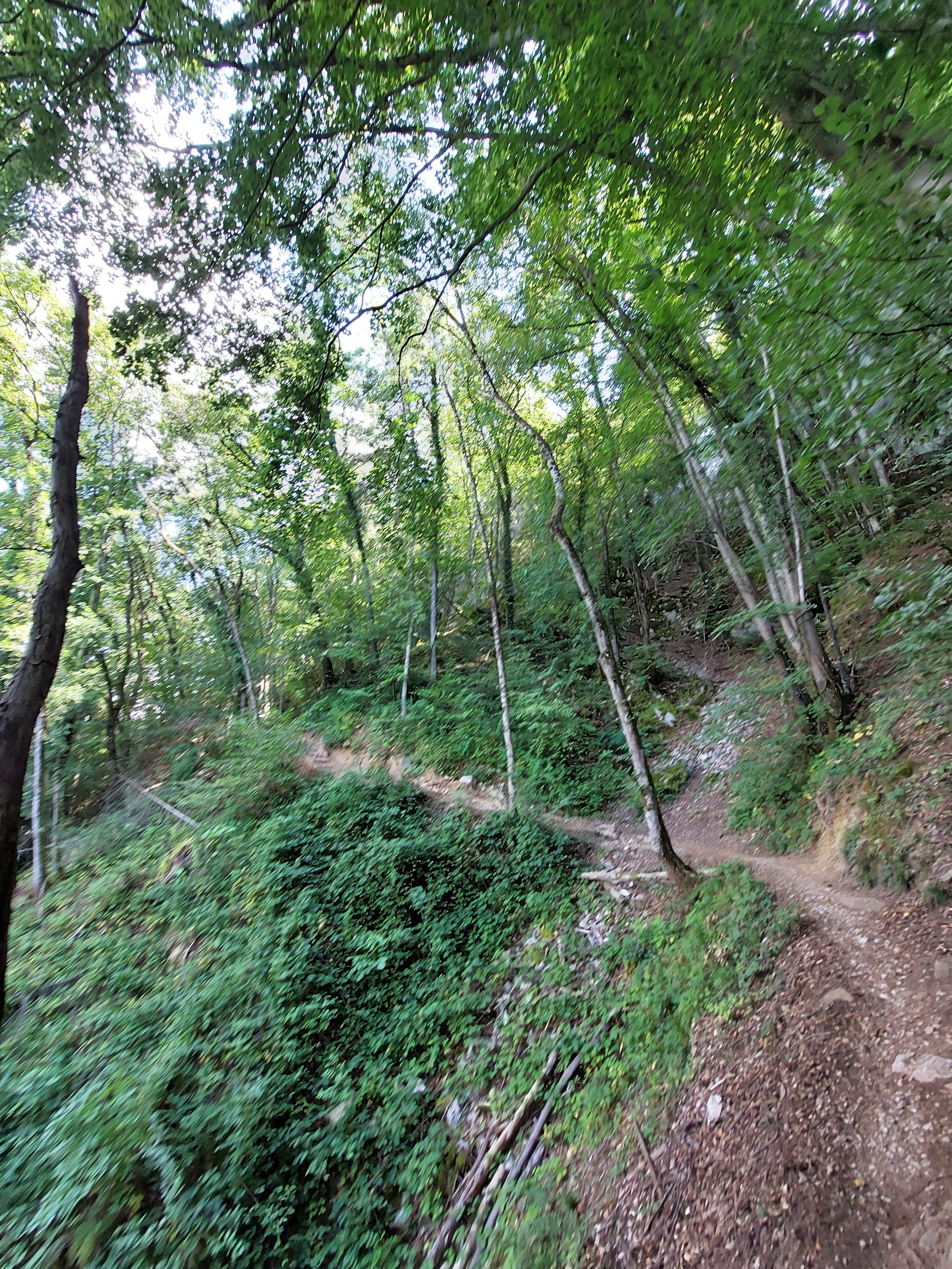 Mont Veyrier & Mont Baron (hiking)